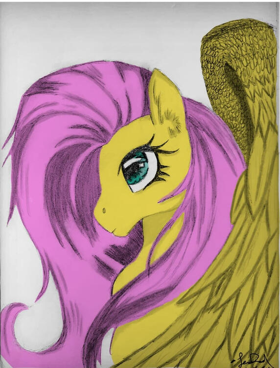 My Fluttershy